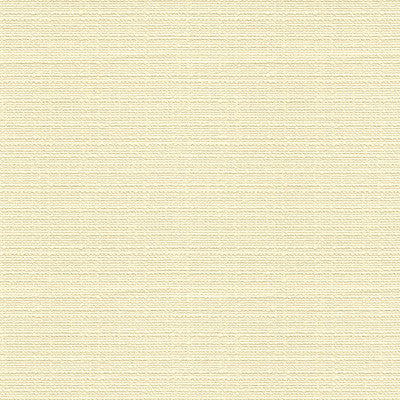 Beekman Coconut by Kravet Contract Fabric