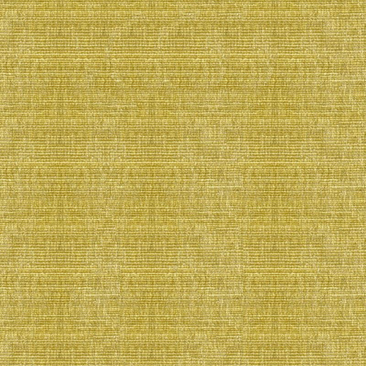 34191.303 by Kravet Smart Designer Fabric - Polyester 100% China Heavy H" -, V: - 56 inches  - Swanky Fabrics -  Kravet Smart