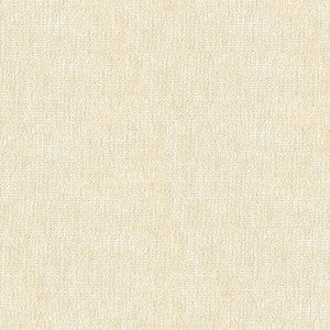 Kravet Smart 34191-101 by Kravet Smart Fabric