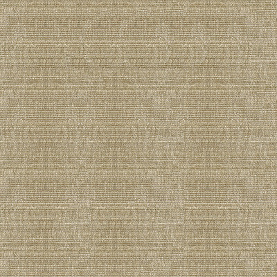 Kravet Smart 34191-106 by Kravet Smart Fabric