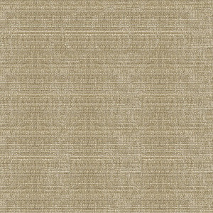 Kravet Smart 34191-106 by Kravet Smart Fabric