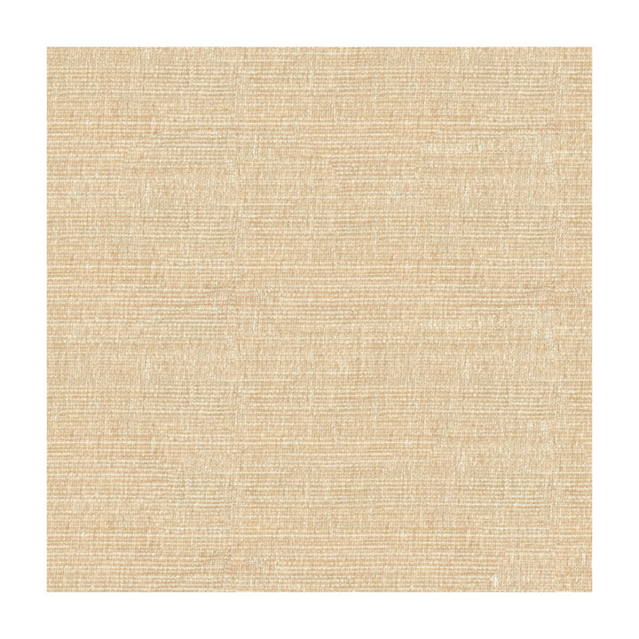34191-1116 by Kravet Smart Fabric POLYESTER - 100% China HEAVY Horizontal: and Vertical: 56 - Fabric Carolina -