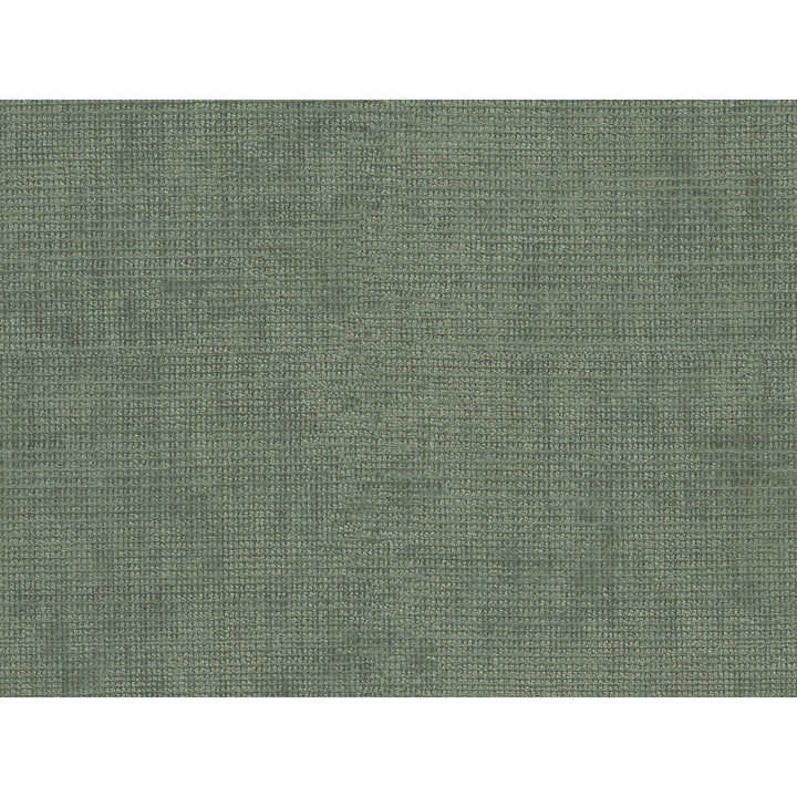 34191-113 by Kravet Smart Fabric - POLYESTER - 100% China HEAVY Horizontal: - and Vertical: - 56 - Fabric Carolina -