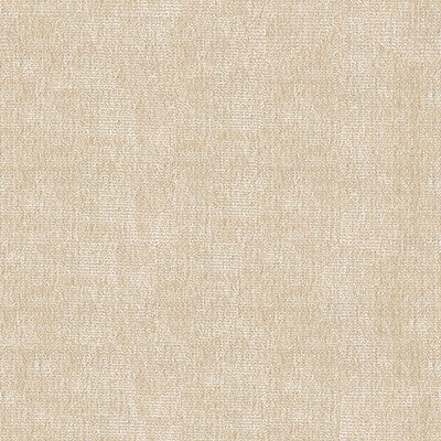 Kravet Smart 34191-116 by Kravet Smart Fabric