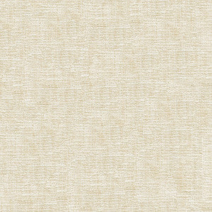 Kravet Smart 34191-1 by Kravet Smart Fabric