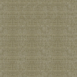 Kravet Smart 34191-2111 by Kravet Smart Fabric