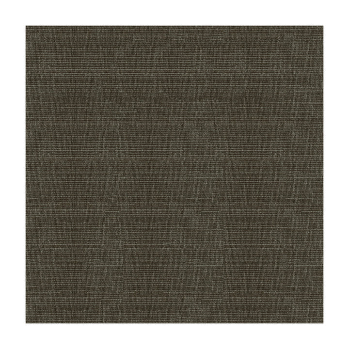 34191-811 by Kravet Smart Fabric POLYESTER - 100% China HEAVY Horizontal: and Vertical: 56 - Fabric Carolina -