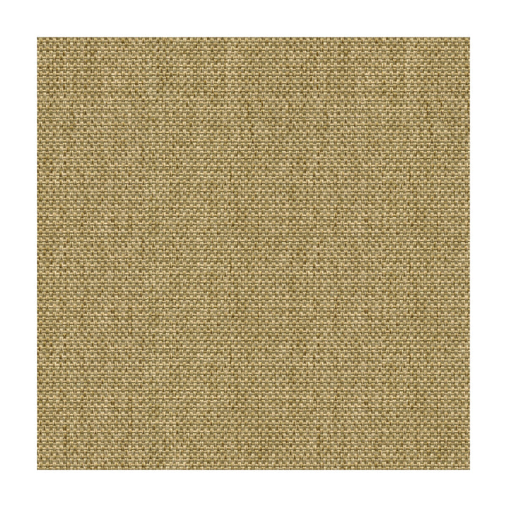 Ludwig Jute by Kravet Contract Fabric CRYPTON INCASE POLYESTER - 100% China HEAVY Horizontal: and Vertical: 54 - Fabric Carolina -