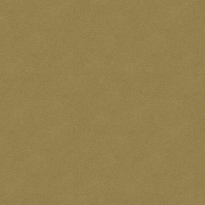 Kravet Design 34205-1616 by Kravet Design Fabric