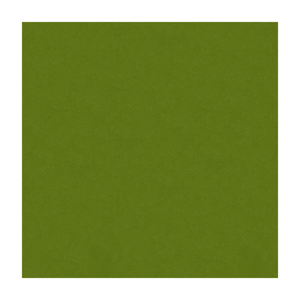 34205-3 by Kravet Design Designer Fabric COTTON - 93%;POLYESTER - 7% Turkey HEAVY Horizontal: and Vertical: 54 - Swanky Fabrics -