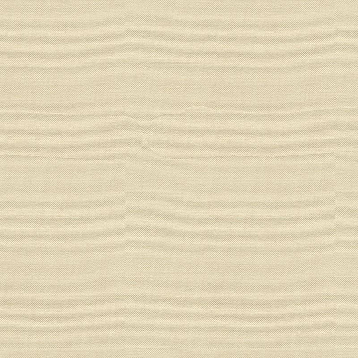 34221.1116 by Kravet Design Designer Fabric Sunbrella Solution Dyed Acrylic 100% USA Heavy Horizontal: see sample and Vertical: see sample 54 inches - Swanky Fabrics -