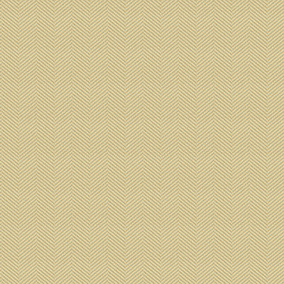 Kravet Design 34234-116 by Kravet Design Fabric