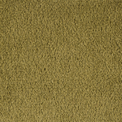 Plazzo Mohair Moss by Kravet Couture Fabric