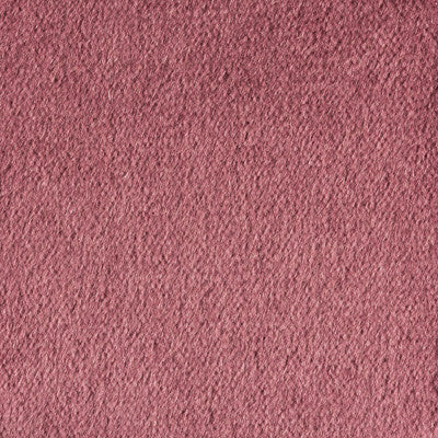 Plazzo Mohair Tulipwood by Kravet Couture Fabric