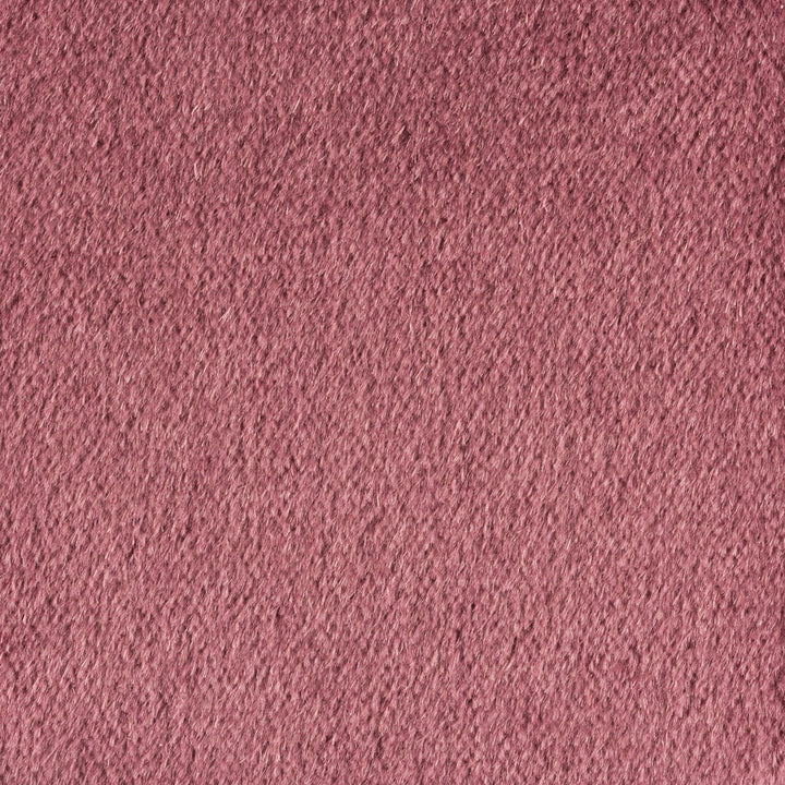 Plazzo Mohair Tulipwood by Kravet Couture Fabric MOHAIR - 100% Netherlands HEAVY Horizontal: and Vertical: 55 - Fabric Carolina -