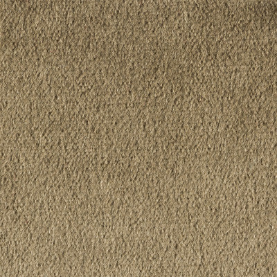 Plazzo Mohair Lead by Kravet Couture Fabric