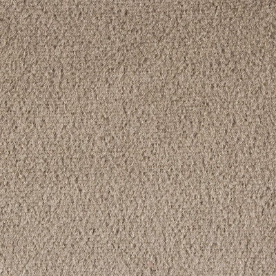 Plazzo Mohair Fawn by Kravet Couture Fabric