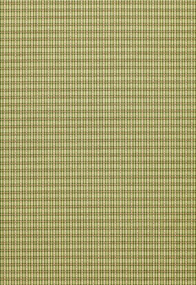 Henson Check Basil 3427001 by Schumacher Fabric - 84% Cotton, 16% Viscose Martindale 8,000 Horizontal: 1 and Vertical: 3/4- 55 - Fabric Carolina -