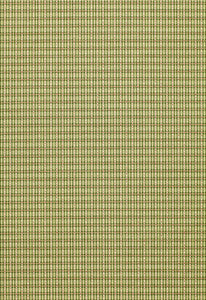 Henson Check Basil 3427001 by Schumacher Fabric