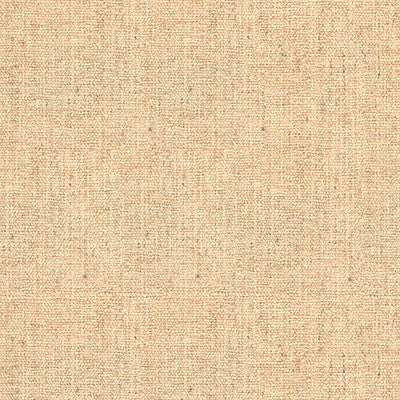Kravet Smart 34300-1116 by Kravet Smart Fabric