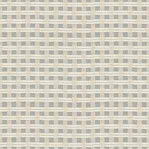 Kravet Smart 34315-116 by Kravet Smart Fabric