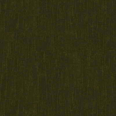 High Impact Olive by Kravet Couture Fabric