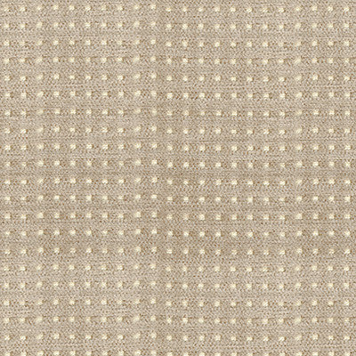 Kravet Smart 34356-106 by Kravet Smart Fabric