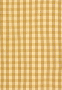 Inglebury Silk Check Coin 3439001 by Schumacher Fabric