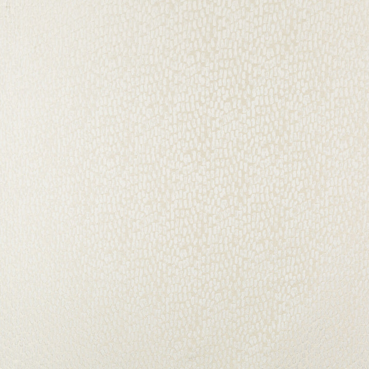 34412-1 by Kravet Basics Fabric POLYESTER - 100% India HEAVY Horizontal: 4.5 and Vertical: 5.5 55 - Fabric Carolina -