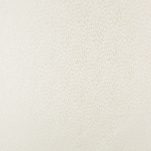 Kravet Basics 34412-1 by Kravet Basics Fabric