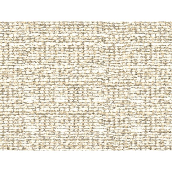 34431-1611 by Kravet Basics Fabric - POLYESTER - 41%;VISCOSE - 36%;COTTON - 18%;LINEN - 5% India HEAVY Horizontal: - and Vertical: - 54 - Fabric Carolina -