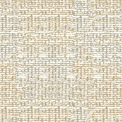 Kravet Basics 34431-1611 by Kravet Basics Fabric