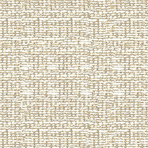 Kravet Basics 34431-1611 by Kravet Basics Fabric