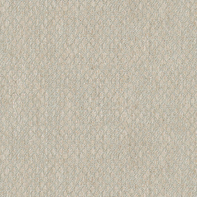 Creative Lead Pumice by Kravet Couture Fabric