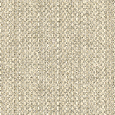 Tried And True Ice by Kravet Couture Fabric