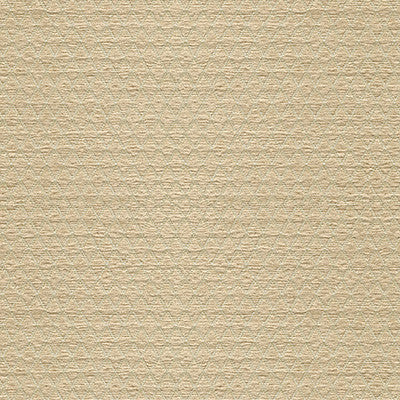 Kravet Smart 34475-116 by Kravet Smart Fabric