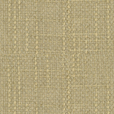 Conceptual Chardonnay by Kravet Couture Fabric