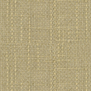 Conceptual Chardonnay by Kravet Couture Fabric