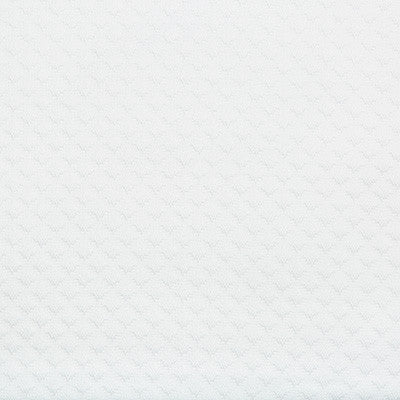 Bay Winds Sea Salt by Kravet Design Fabric