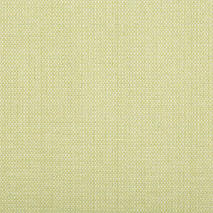 Quayside Celery by Kravet Design Fabric