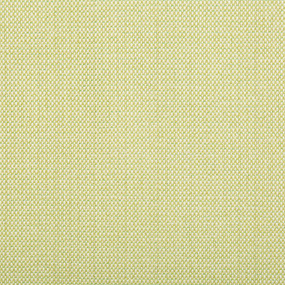 Scandikat Chrome by Kravet Design Fabric