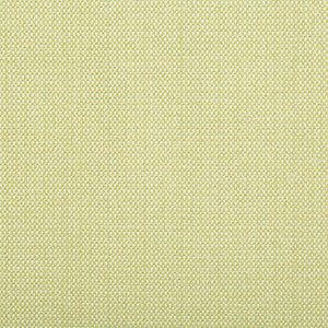 Scandikat Chrome by Kravet Design Fabric