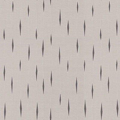 Fluxus Iron by Kravet Couture Fabric
