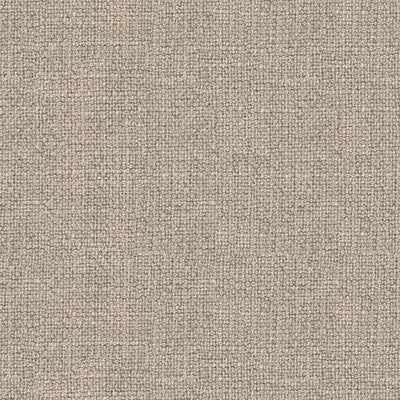 Shibumi Linen Ecru by Kravet Couture Fabric