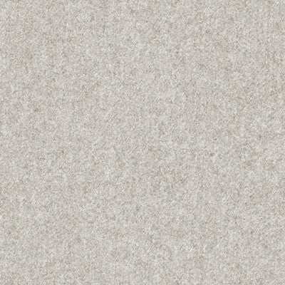 Basanite Ash by Kravet Couture Fabric