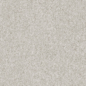 Basanite Ash by Kravet Couture Fabric