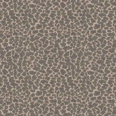 Citta Smoke by Kravet Couture Fabric