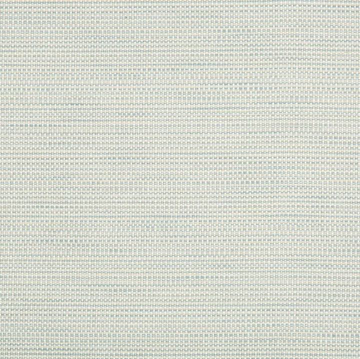34627.1511 by Kravet Smart Designer Fabric in our sample Polyester 58%, Cotton 22%, Rayon 20% USA Heavy Horizontal: See Sample and Vertical: See Sample 55 inches - Swanky Fabrics -