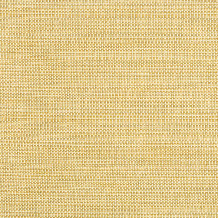 34627.416 by Kravet Smart Designer Fabric in our sample Polyester 58%, Cotton 22%, Rayon 20% USA Heavy Horizontal: See Sample and Vertical: See Sample 55 inches - Swanky Fabrics -