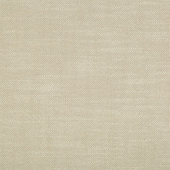 34633.1116 by Kravet Contract Designer Fabric Crypton Incase Polyester 100% USA Heavy Horizontal: see sample and Vertical: see sample 55 inches - Swanky Fabrics -
